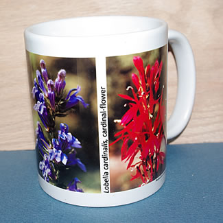 mug DS-070 6689.psd